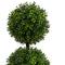 3ft. Potted Boxwood Triple Ball Topiary Tree